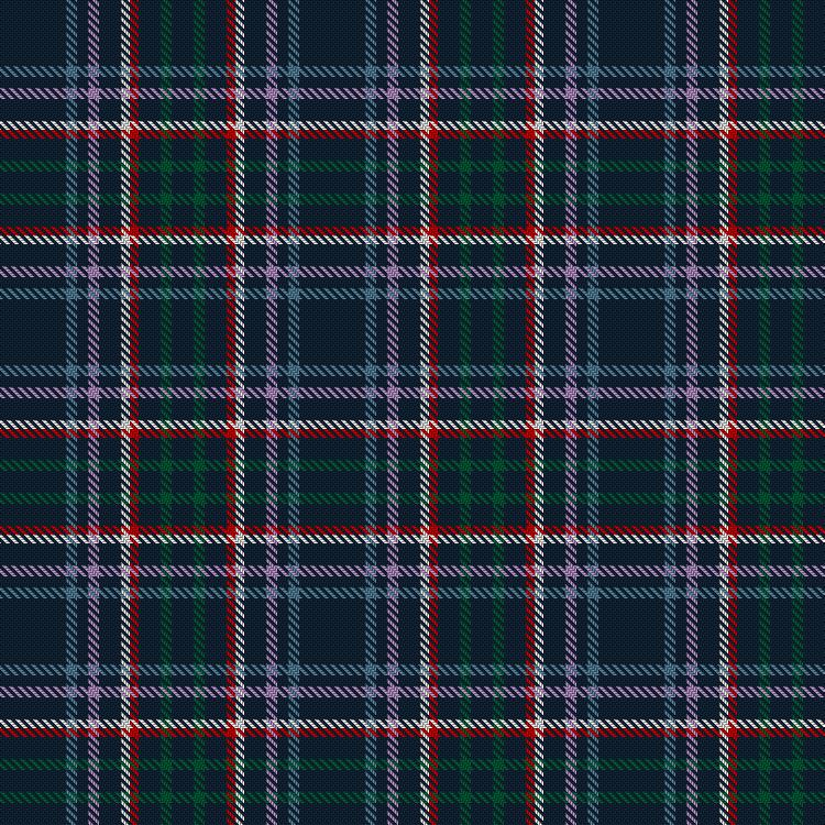 Tartan image: Bukowski-Jackson (Personal). Click on this image to see a more detailed version.