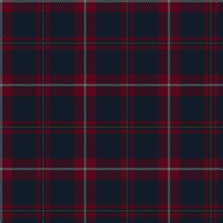 Tartan image: Lion Brand Sportswear. Click on this image to see a more detailed version.