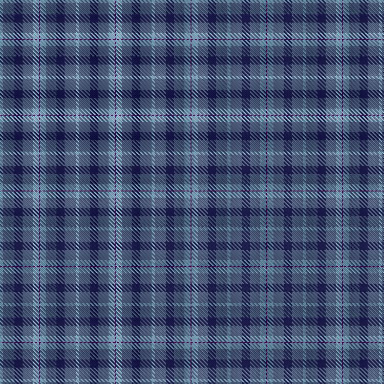 Tartan image: Loch Ness Water. Click on this image to see a more detailed version.