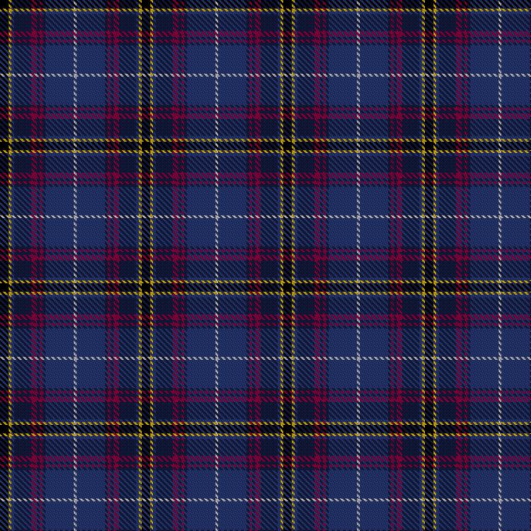 Tartan image: Ertico. Click on this image to see a more detailed version.