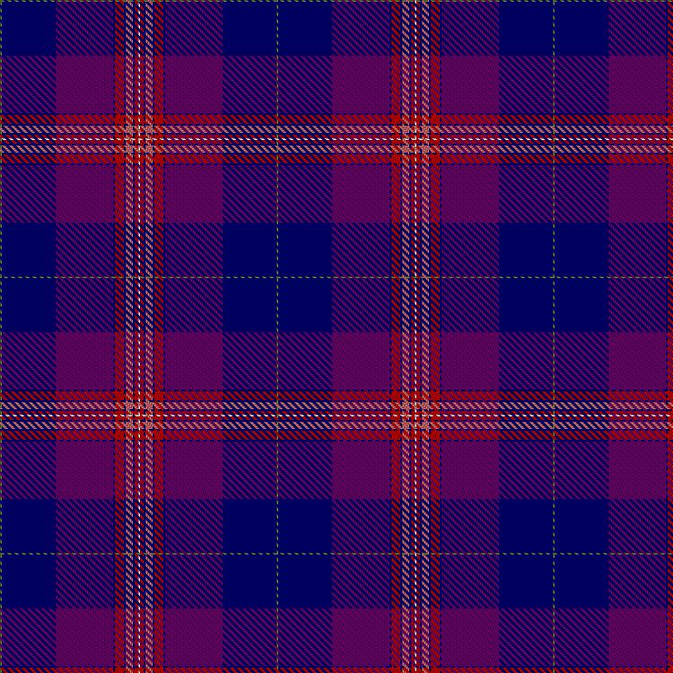 Tartan image: Gill, Anil (Personal). Click on this image to see a more detailed version.