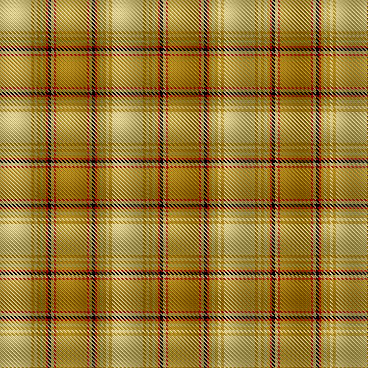 Tartan image: Glen Talloch. Click on this image to see a more detailed version.