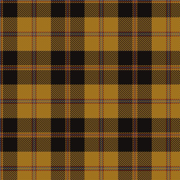Tartan image: Pittsburgh St Andrew's Society. Click on this image to see a more detailed version.
