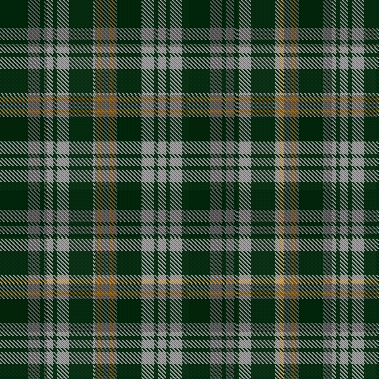Tartan image: Twisted Kilt Society. Click on this image to see a more detailed version.