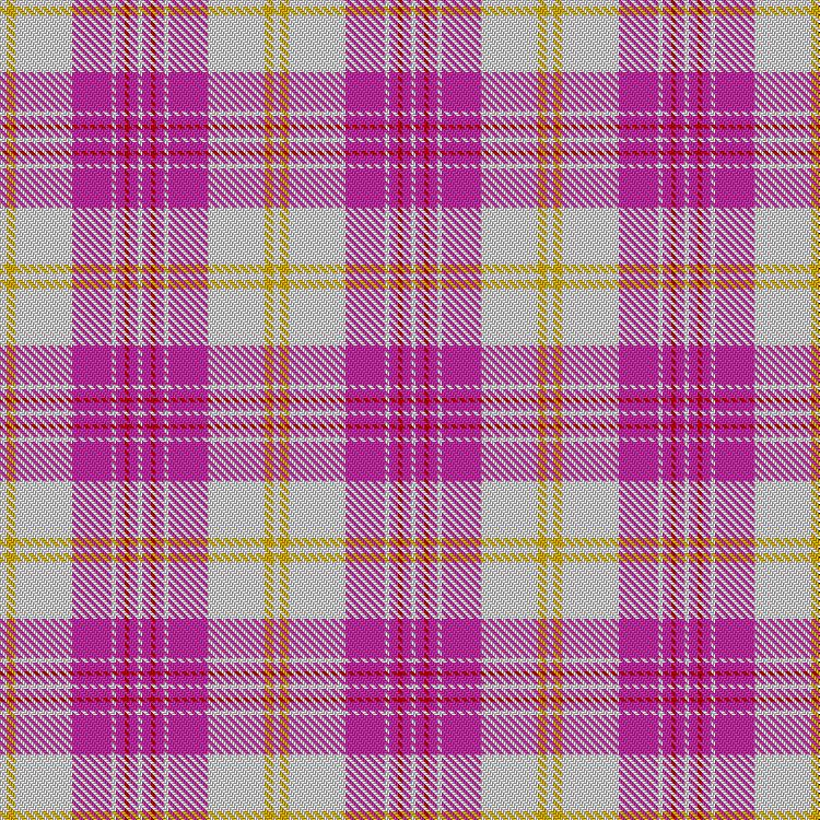 Tartan image: Yair Dance. Click on this image to see a more detailed version.