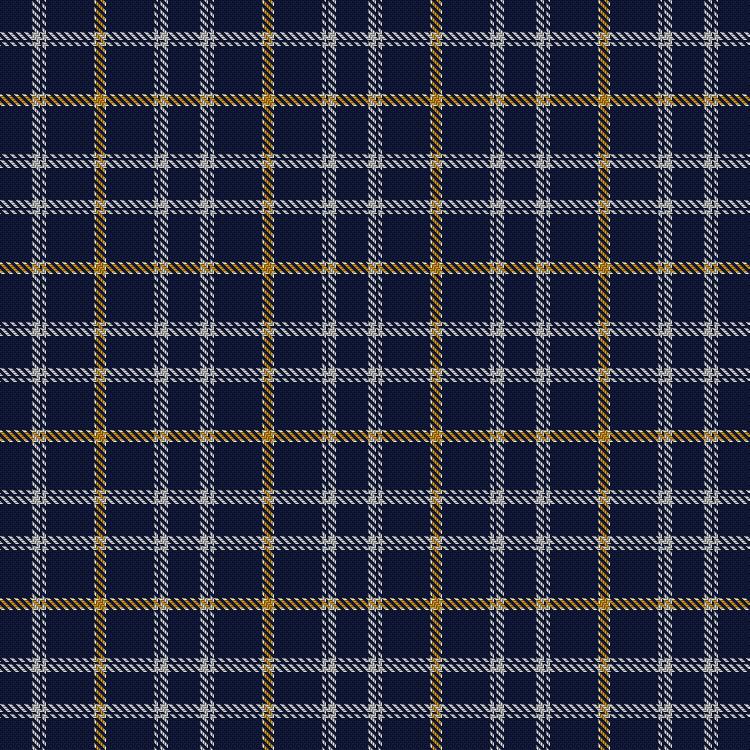 Tartan image: Talisker. Click on this image to see a more detailed version.