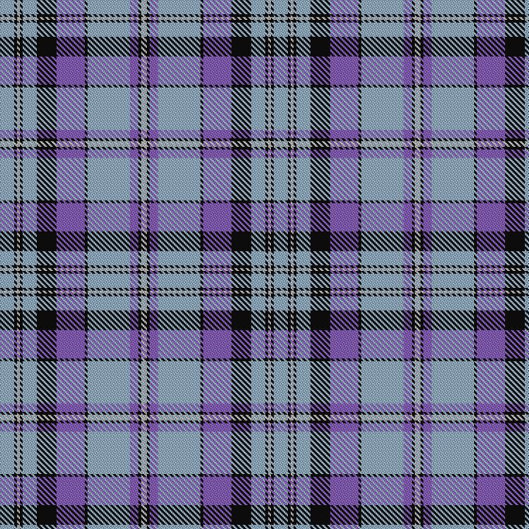Tartan image: Faulds. Click on this image to see a more detailed version.