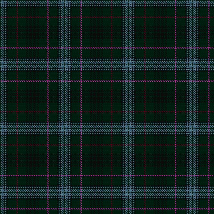 Tartan image: Gunning, Robert Maxwell Stewart (Personal). Click on this image to see a more detailed version.