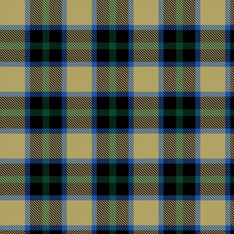Tartan image: Brun, Pierre Emmanuel (Personal). Click on this image to see a more detailed version.