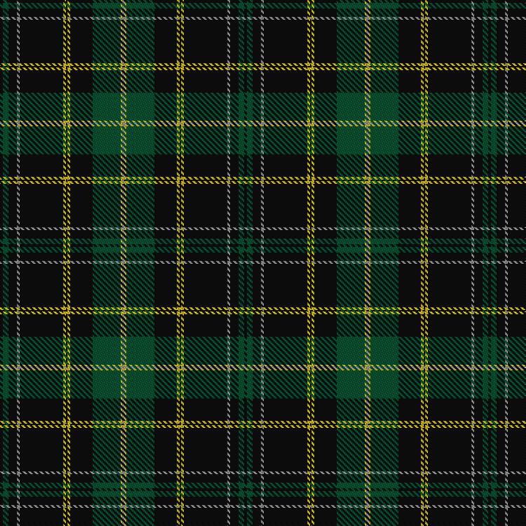Tartan image: Entier. Click on this image to see a more detailed version.