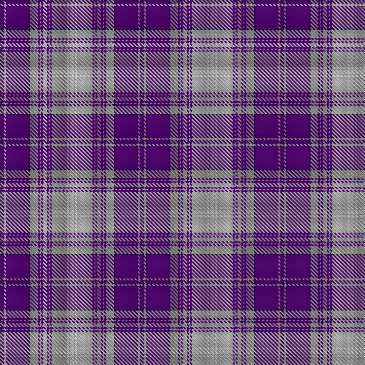 Tartan image: Purple Rain. Click on this image to see a more detailed version.