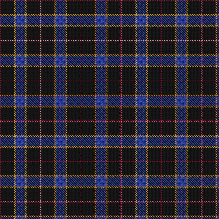 Tartan image: Schöbitz (2016). Click on this image to see a more detailed version.