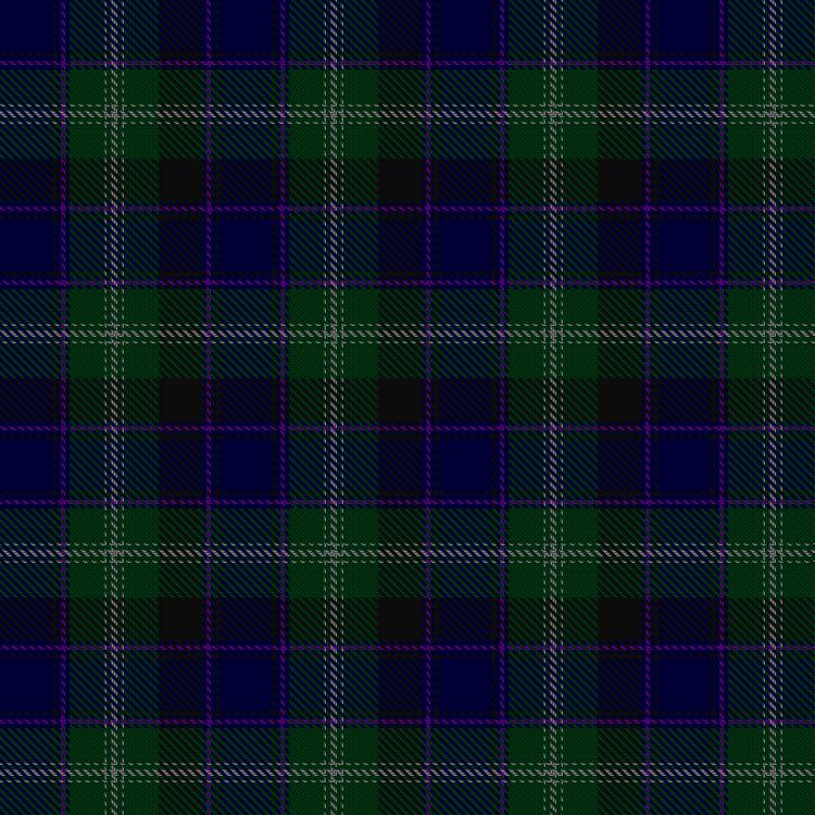 Tartan image: Sandilands-Watson (Personal). Click on this image to see a more detailed version.