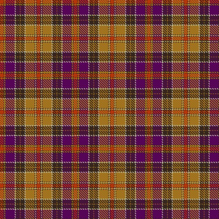 Tartan image: Wells, Greg Dress (Personal). Click on this image to see a more detailed version.