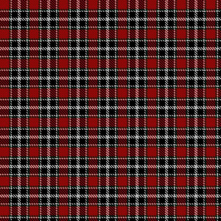 Tartan image: SAL Cubiska Stenen. Click on this image to see a more detailed version.