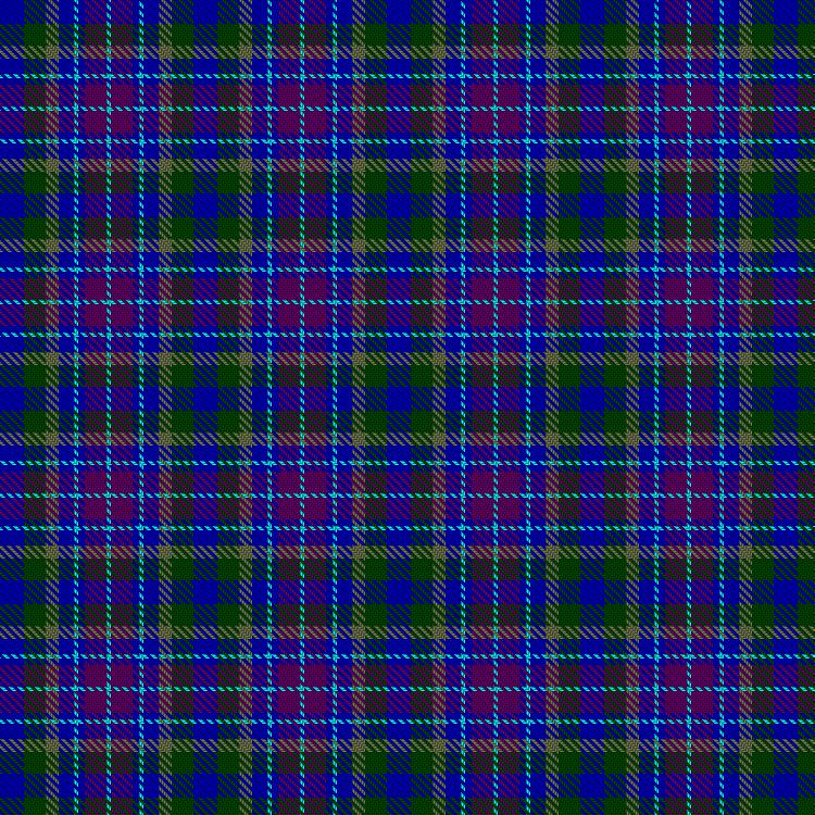 Tartan image: Hummelt, Katherine (Personal). Click on this image to see a more detailed version.