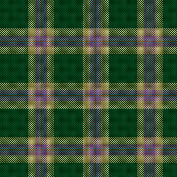 Tartan image: Isle of Raasay. Click on this image to see a more detailed version.