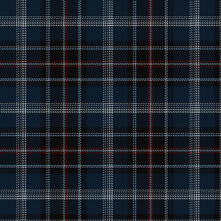 Tartan image: Britten-Norman. Click on this image to see a more detailed version.