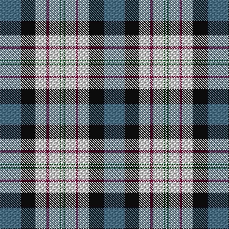 Tartan image: Ferguson Dress. Click on this image to see a more detailed version.