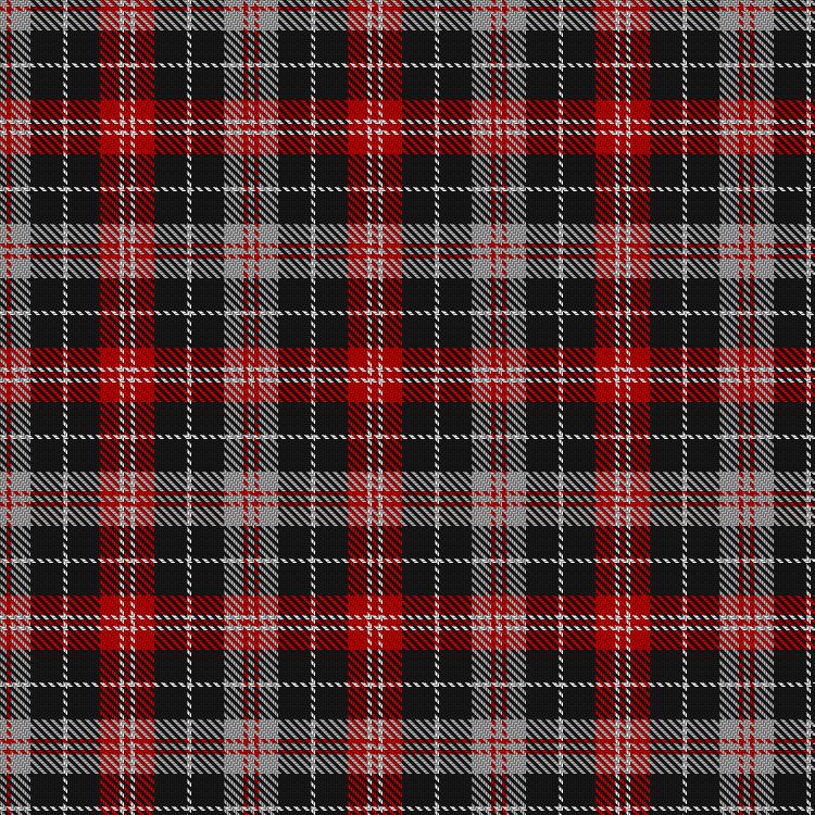 Tartan image: Dogrobes. Click on this image to see a more detailed version.