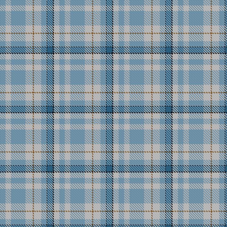 Tartan image: Tricotisse. Click on this image to see a more detailed version.