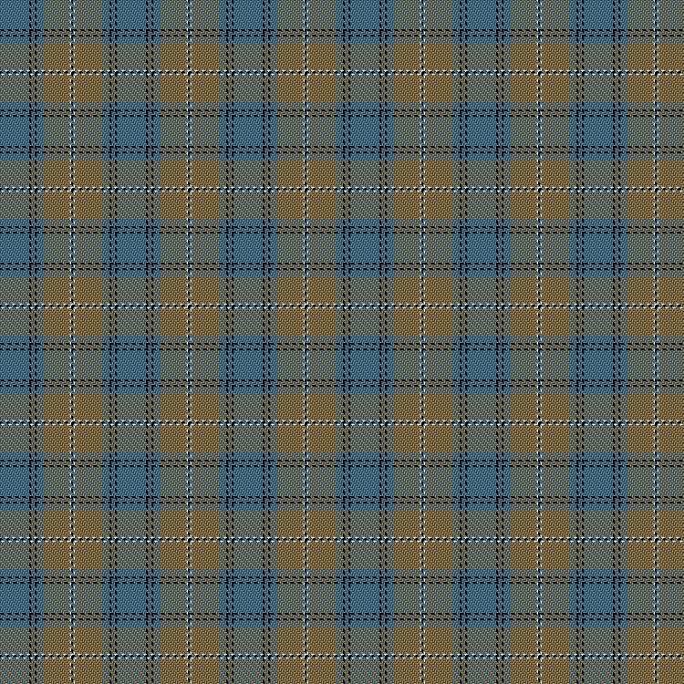 Tartan image: Southern Lakes. Click on this image to see a more detailed version.