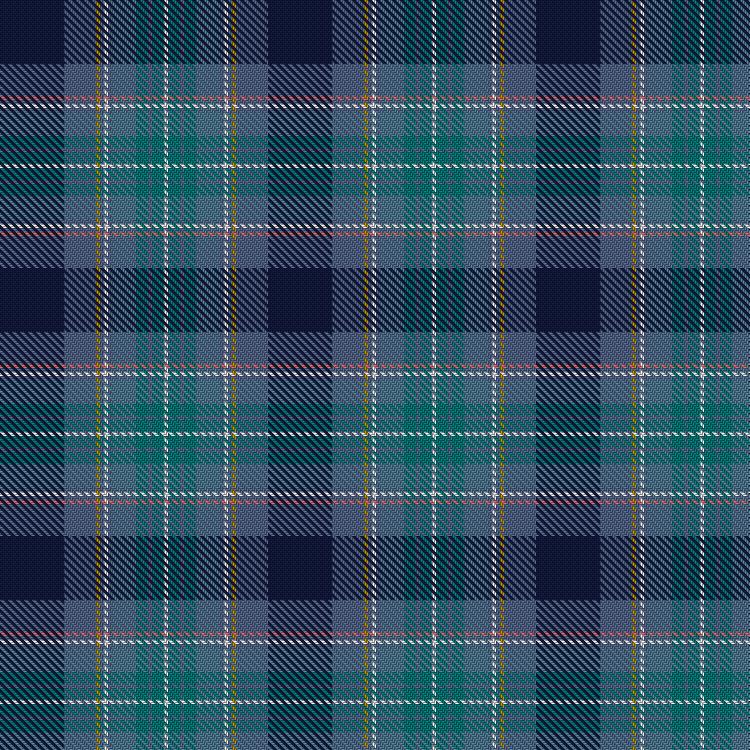 Tartan image: Brighton & Hove. Click on this image to see a more detailed version.