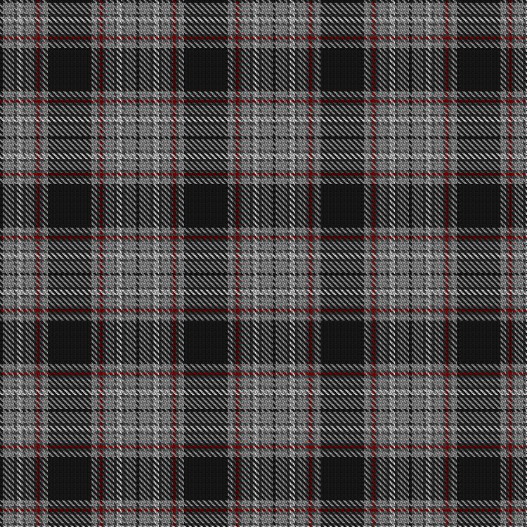 Tartan image: Rogue Attitude. Click on this image to see a more detailed version.