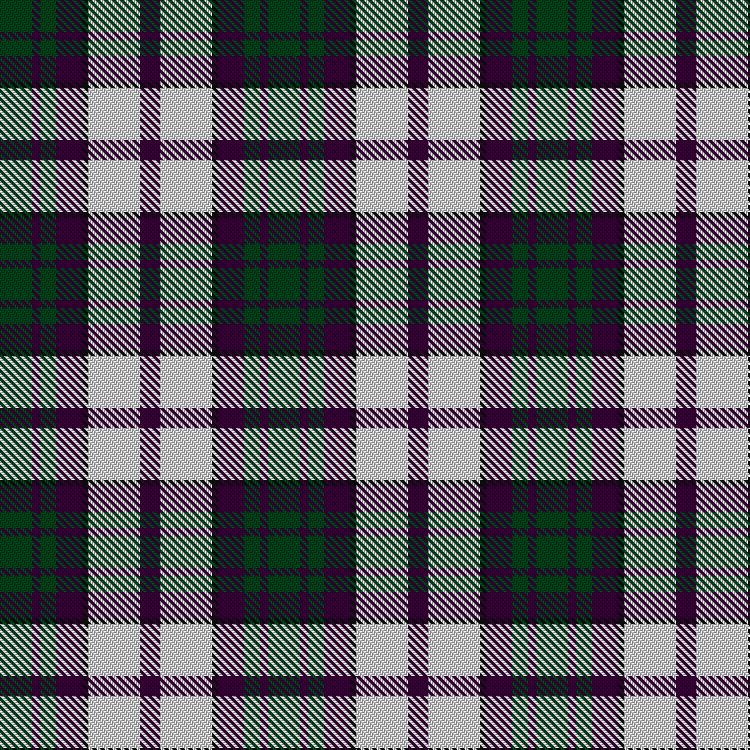 Tartan image: Because You Care. Click on this image to see a more detailed version.
