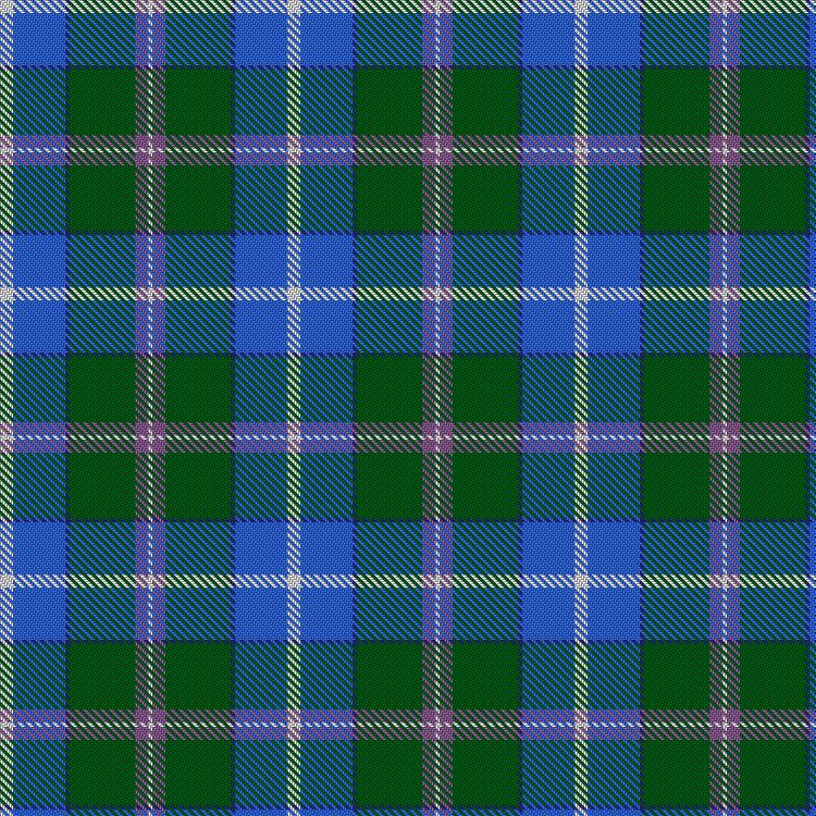 Tartan image: Eeraerts, Laurent (Personal). Click on this image to see a more detailed version.