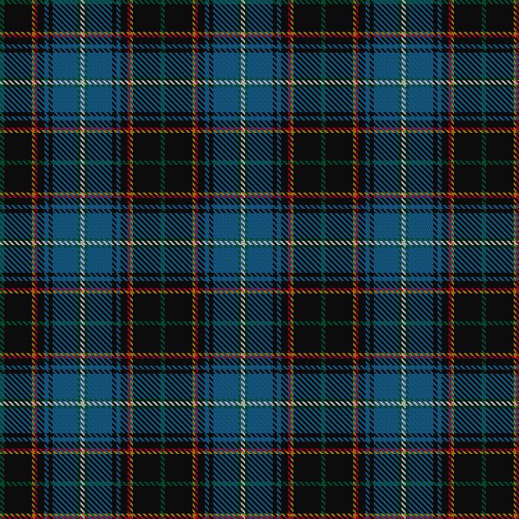 Tartan image: Pickering, Philip D, baron of Newton (Personal). Click on this image to see a more detailed version.