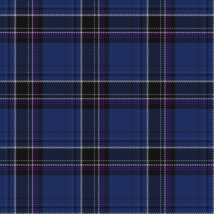 Tartan image: de Bustos, Guy-Michel (Personal). Click on this image to see a more detailed version.