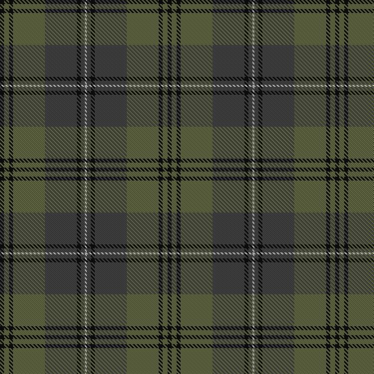 Tartan image: Anama Chaillte (Lost Soul). Click on this image to see a more detailed version.