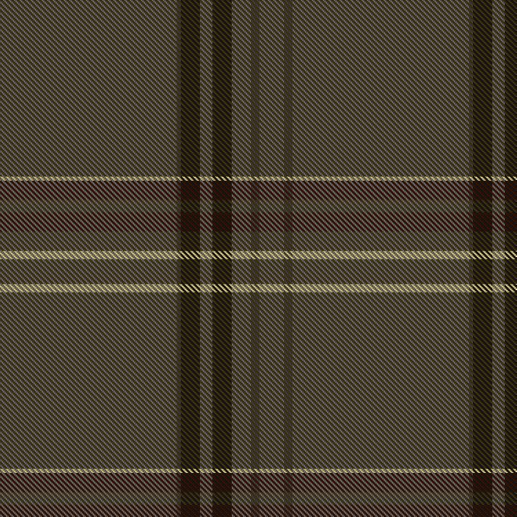 Tartan image: Mist & Stone. Click on this image to see a more detailed version.