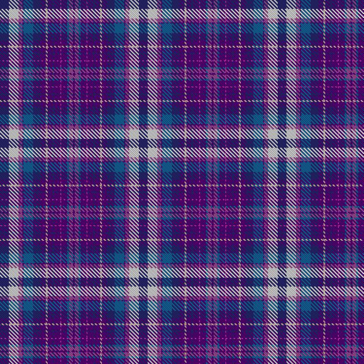 Tartan image: Investing Women Ltd. Click on this image to see a more detailed version.