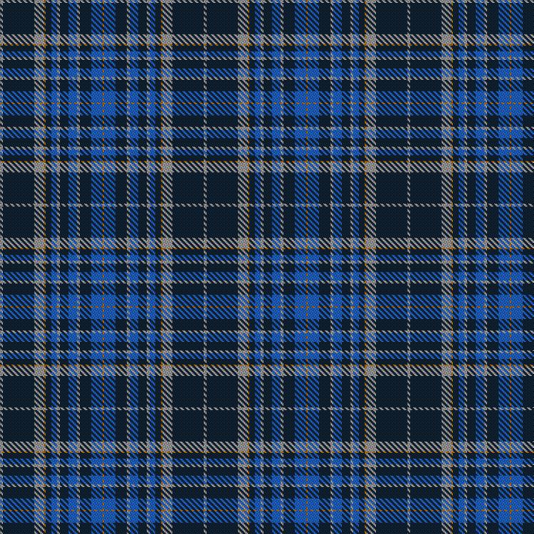 Tartan image: Weaver Incorporation of Dundee, The. Click on this image to see a more detailed version.