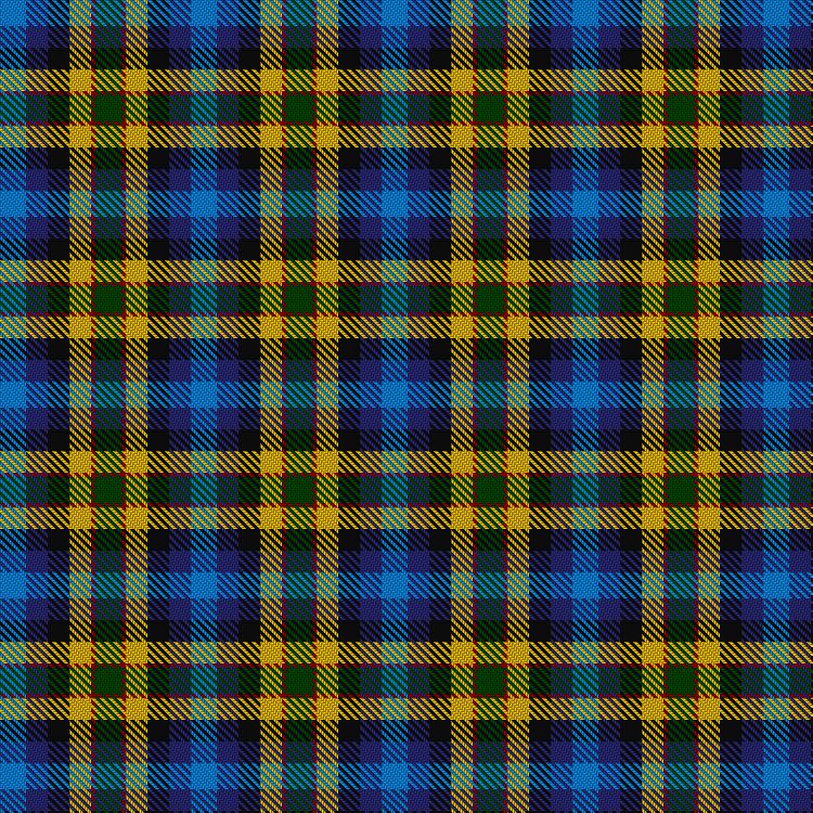 Tartan image: City of Long Beach. Click on this image to see a more detailed version.