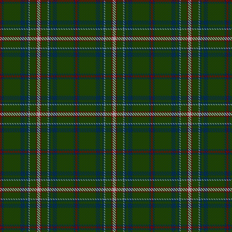 Tartan image: Doo (2017). Click on this image to see a more detailed version.