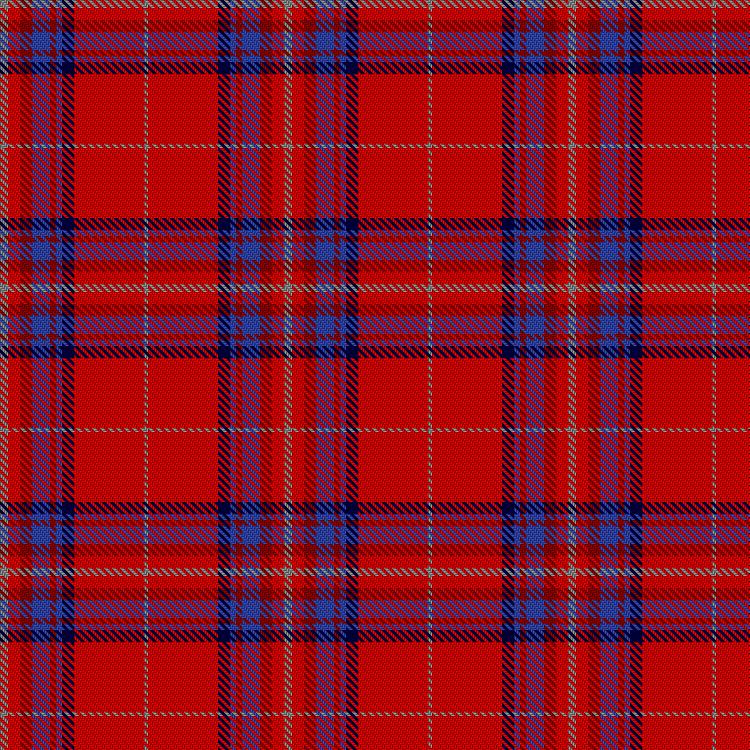 Tartan image: Stuart Nicol Transport. Click on this image to see a more detailed version.
