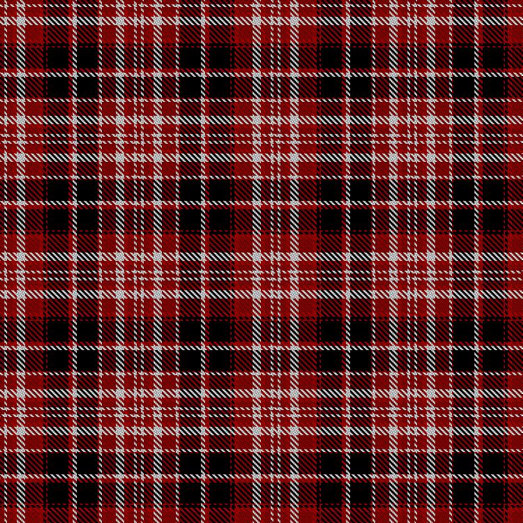 Tartan image: Loganair 2017. Click on this image to see a more detailed version.