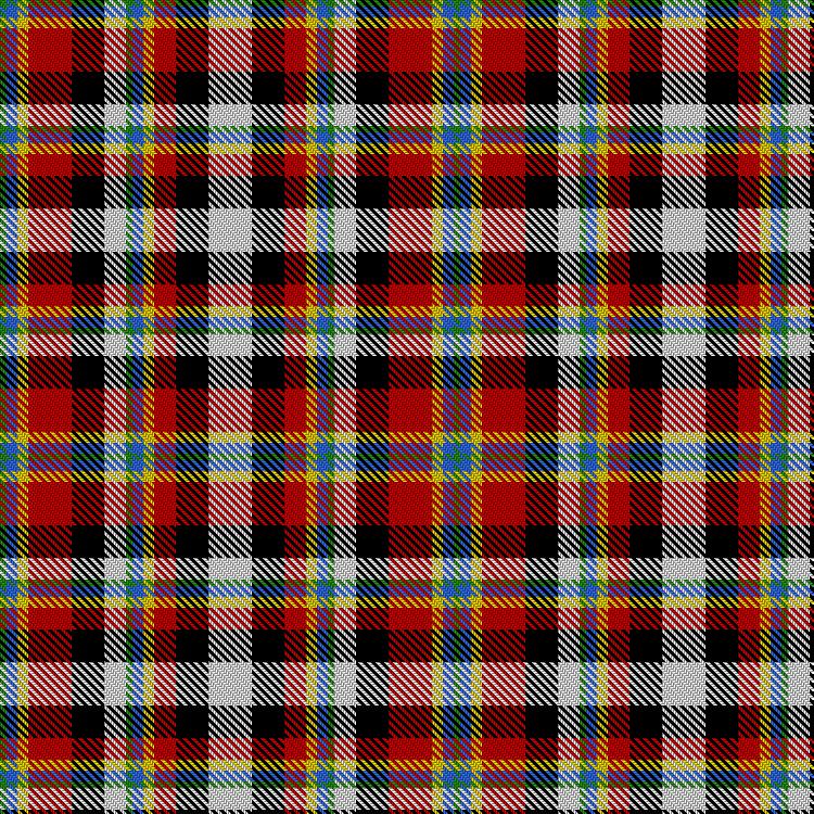 Tartan image: Blake, Steven (Personal). Click on this image to see a more detailed version.