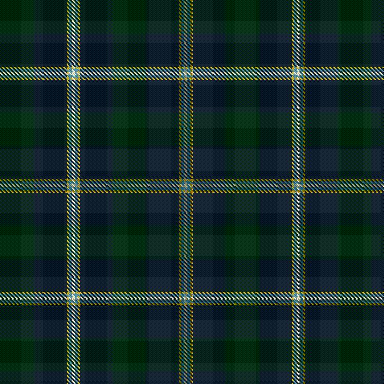 Tartan image: HMS Forth. Click on this image to see a more detailed version.