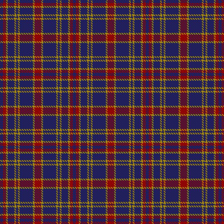 Tartan image: Tschischka, Sabine and Marcus (Personal). Click on this image to see a more detailed version.