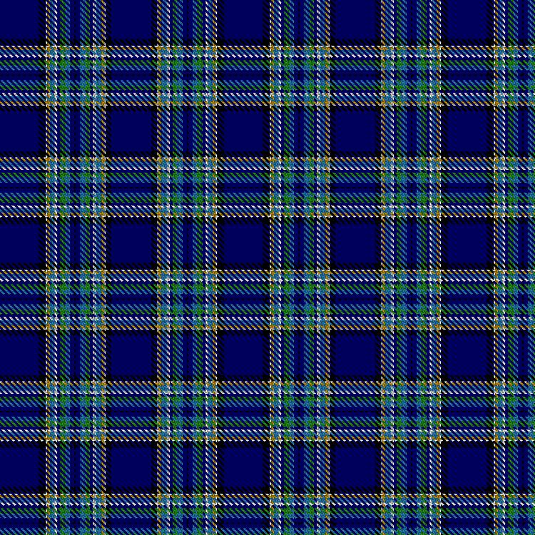 Tartan image: Hall. Click on this image to see a more detailed version.