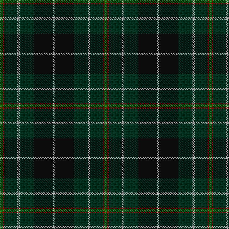 Tartan image: 5 Military Intelligence Battalion. Click on this image to see a more detailed version.