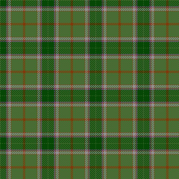 Tartan image: New Forest. Click on this image to see a more detailed version.
