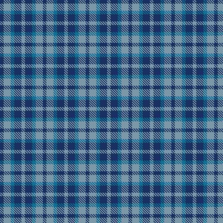 Tartan image: Scottish Open Golf. Click on this image to see a more detailed version.