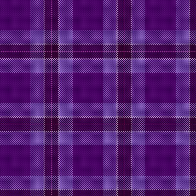 Tartan image: Sole Sisters. Click on this image to see a more detailed version.