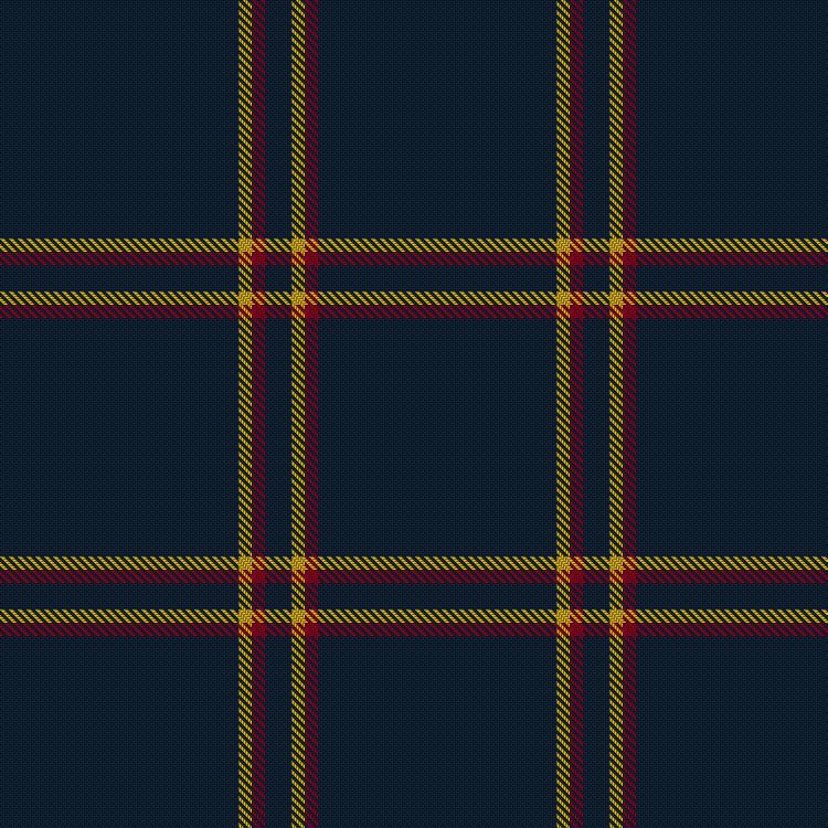 Tartan image: REME Corps. Click on this image to see a more detailed version.