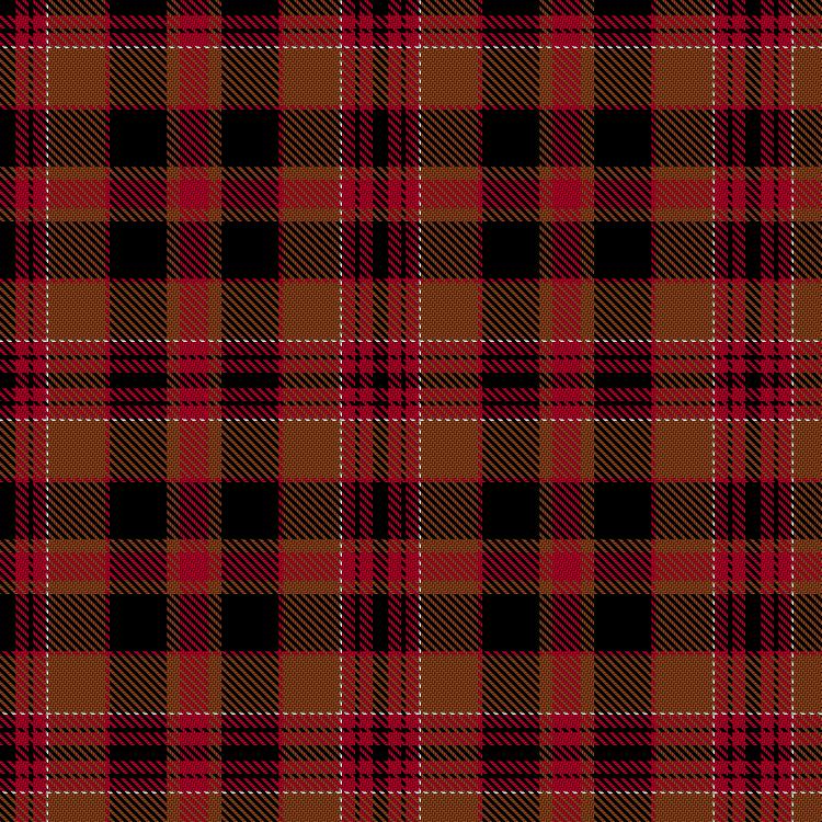 Tartan image: Williams, Robert (Personal). Click on this image to see a more detailed version.